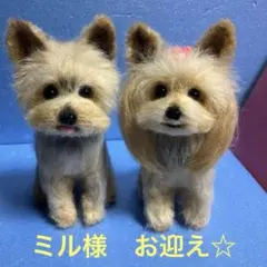 Item thumbnail for item d8a31a73-a96a-40c6-878b-a712da011c8d