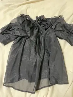 袖フリルシアーハイネックブラウス