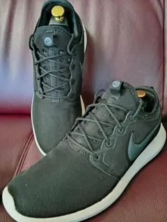 NIKE ナイキローシ2.0　27.5cmのサムネイル