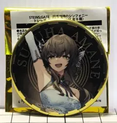 シュタインズゲート 因果旋律のシンフォニー 缶バッジ 阿万音鈴羽