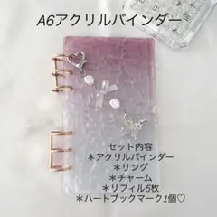 アクリルバインダー♡水流模様A6韓国バインダー貯金savingバタフライpink