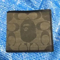 Item thumbnail for item cad64091-4352-403a-91bf-597c1214cd3d