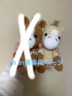 m m様専用のページです。