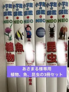 【あさまる様専用】小学館の図鑑 NEO 3冊セット まとめ売り