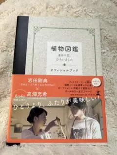 植物図鑑 運命の恋、ひろいました　オフィシャルブック　岩田剛典X高畑充希