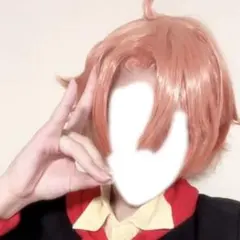パラ高 黒井正義 コスプレ ウィッグ