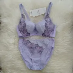 トリンプ　レッドレーベル　天使のブラ0118　定価13100円　021 D70M