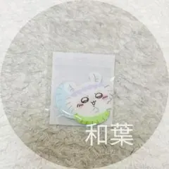ちいかわ 映画ちいかわ ぷっくりアクリルマグネット（モモンガ）