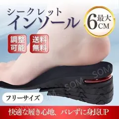 シークレットインソール 3段間 調整 中敷 エアインソール 厚底 身長 アップ