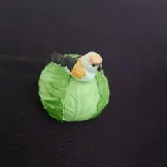 キャベツと小鳥の置物