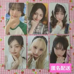 2025年最新】ive シーグリ 2025 ガウルの人気アイテム - メルカリ