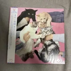 美品 稀少限定盤 レコード 2枚組〔 きのこ帝国 猫とアレルギー 〕佐藤