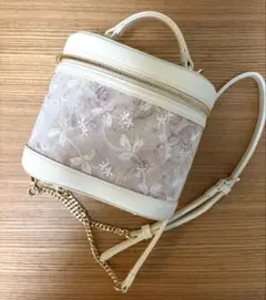 DIANA 絵画シリーズ バニティショルダーバッグ ホワイト 花柄刺繍 