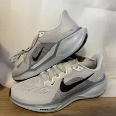 Nike Air Zoom ペガサス41