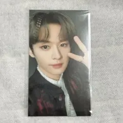 Stray Kids THE SOUND リノ トレカ