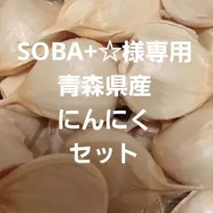 SOBA+☆様専用ページです