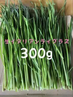 Item thumbnail for item 6e37db7f-d22a-4d42-8507-28f568881a40