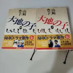 2026年最新】大地の子の人気アイテム - メルカリ