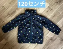 ウィンドブレーカー/ジャケット120/紺色