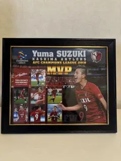 鹿島アントラーズ 25J1リーグ優勝記念 集合メタルフォトグラフィー