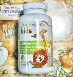 Item thumbnail for item 1086b7ee-34bb-4913-8776-8d355e510342