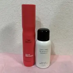 Item thumbnail for item 2756ab29-b680-4451-869e-99e053e3fd57