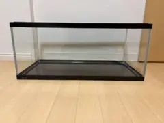GEX ガラス水槽 60センチ ロータイプ