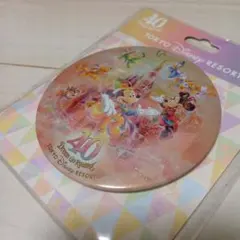 ディズニーリゾート　ディズニー　40周年　缶バッチ　ドリームゴーアラウンド