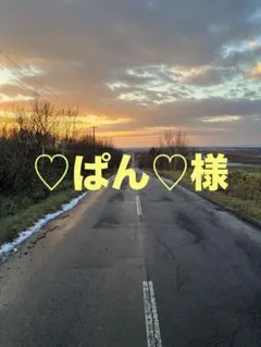 ♡ぱん♡様　専用　20袋