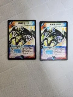 蛇魂王ナーガ 2枚