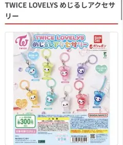 TWICE LOVELYS めじるしアクセサリーです！