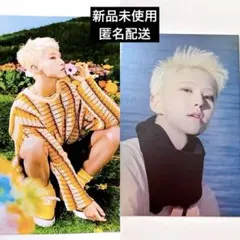 SEVENTEEN Sector17 ホシ HOSHI 호시 トレカ ポスカ