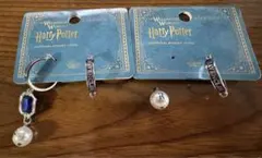 Item thumbnail for item 4eb13f89-e030-4070-9e00-f0b5894869b5