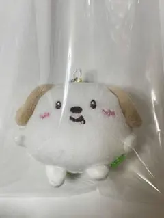 2025年最新】アントン ぬいぐるみの人気アイテム - メルカリ