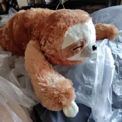 くったりナマケモノ　とろりんちょ　ぬいぐるみのサムネイル
