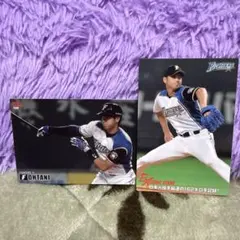 2026年最新】大谷翔平 日本ハム カードの人気アイテム - メルカリ