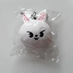 SEVENTEEN セブチ MINITEENアイス エスクプス ぬいぐるみ - メルカリ