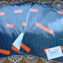 Dior Before Flight クリアファイル 3枚セット