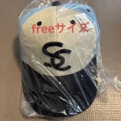 Item thumbnail for item 96872811-577d-4126-9a9c-35d884e5361f