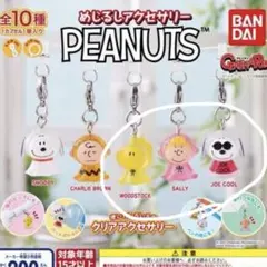 めじるしアクセサリー　PEANUTS 3種セット スヌーピー　ウッドストック