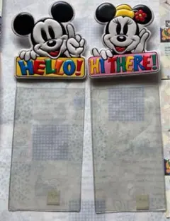 東京ディズニーランド　チケットホルダー　平成レトロ　最終価格！