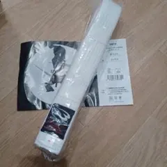 Item thumbnail for item e2581b5d-08e8-471f-b116-f00b0ff5d17f