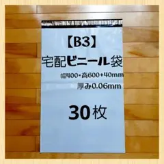 B3宅配ビニール袋 30枚