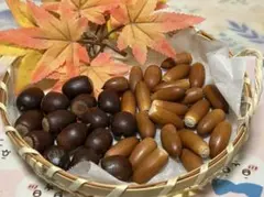 どんぐりミックス　　30個