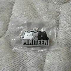 SEVENTEEN miniteen ジュン ぷっくりめじるしアクセサリー