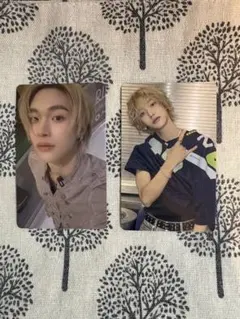 RIIZE fame トレカ ウォンビンセット