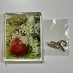 アニカフェ コロッタ 一彩