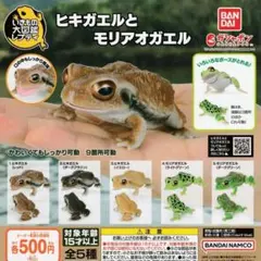 いきもの大図鑑レプティ ヒキガエルとモリアオガエル【全5種 フルコンプ】