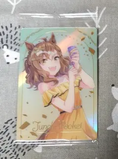 Item thumbnail for item 569f68ff-427d-4711-88a2-5cf2635de4b5