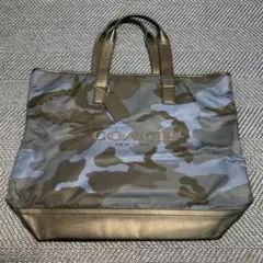 Item thumbnail for item 7cd87539-2fd4-4b1b-b29f-0d34a65009a8